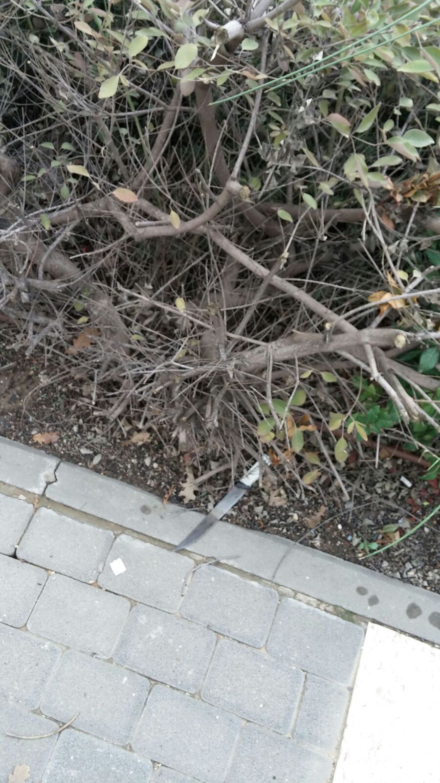 פיגוע דקירה בכניסה לביתר עילית: פצוע קל, המחבלת נוטרלה