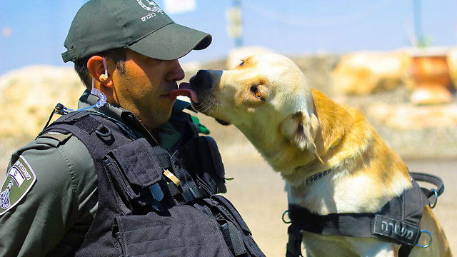 ארז כהן והכלב טאז