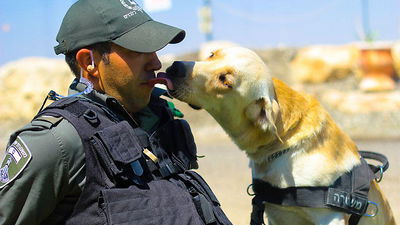 ארז כהן והכלב טאז