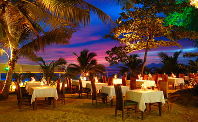 התחזית לימים הקרובים: קפה קפה בחוף הים