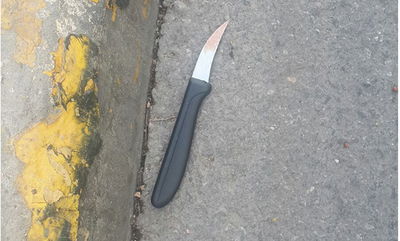 הסכין בה בוצע הפיגוע