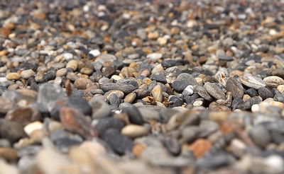 מה גרם לתופעה המוזרה הזו באמצע המדבר הסעודי?