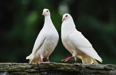 אנחנו מתאימים כזוג?