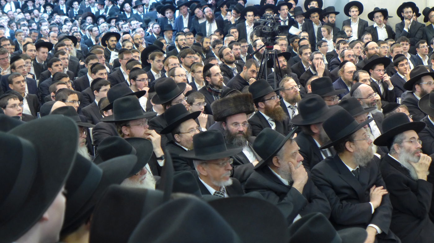 "רוב חברי המועצת של דגל התורה לא יודעים מה כתוב בחוק"