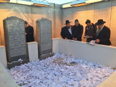 כחלון באוהל