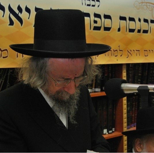 הגאון רבי זלמן שוב