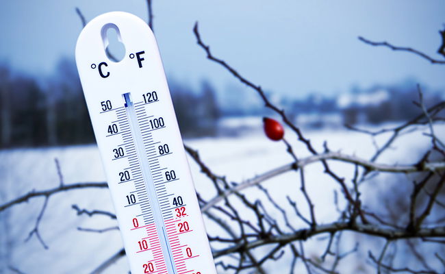 אילוסטרציה