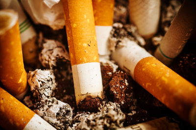 עישון מזיק לבריאות. ואם להיות ספציפיים, פוגע בעצמות