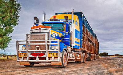 הדרך בה נהג משאית הבקר הזאת מתמודד עם שערים