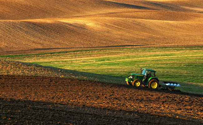 חקלאות, אילוסטרציה