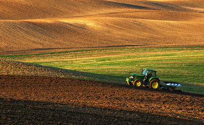 חקלאות, אילוסטרציה