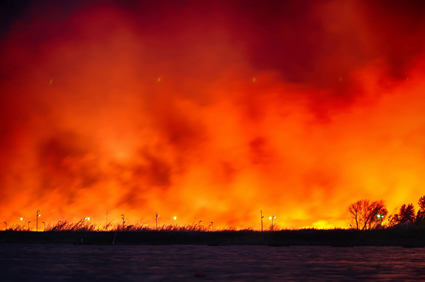 המקל והַגֶּזֶר / הרב עמיהוד סלומון