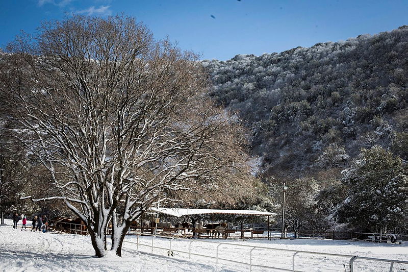 שבת לבנה: צפו בחרמון מושלג