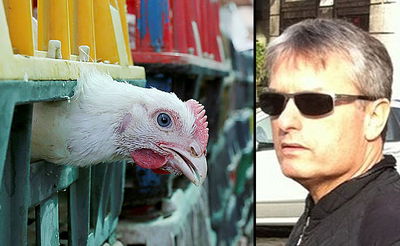 אילן שילוח ושחיטה