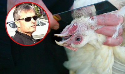 אילן שילוח על רקע שחיטת עוף