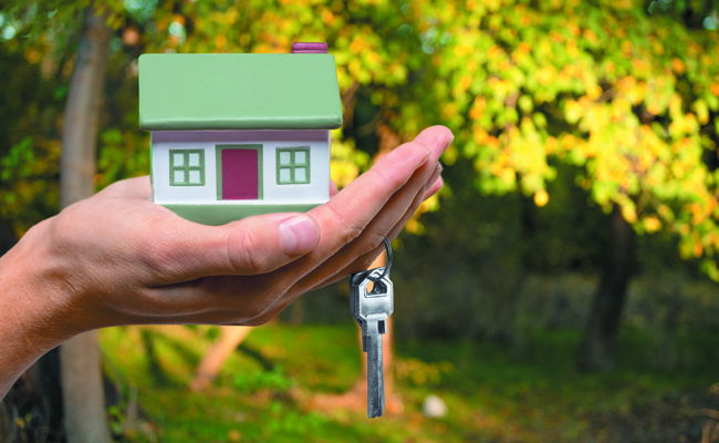 אילוסטרציה