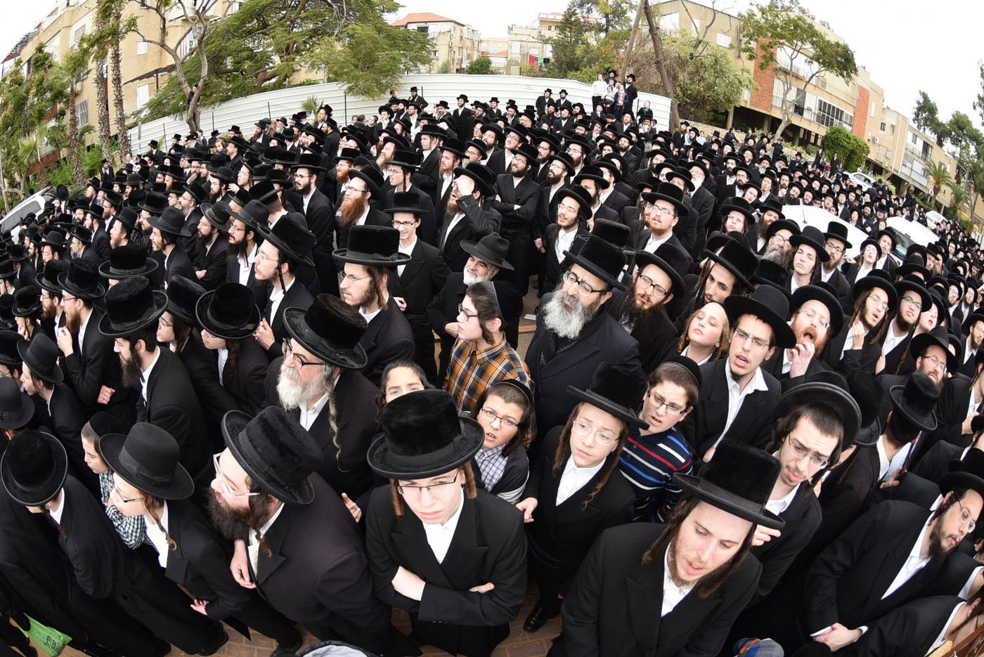 ספר התורה הנדיר הוצא לכבוד הרבי מסקווירא • תמונות