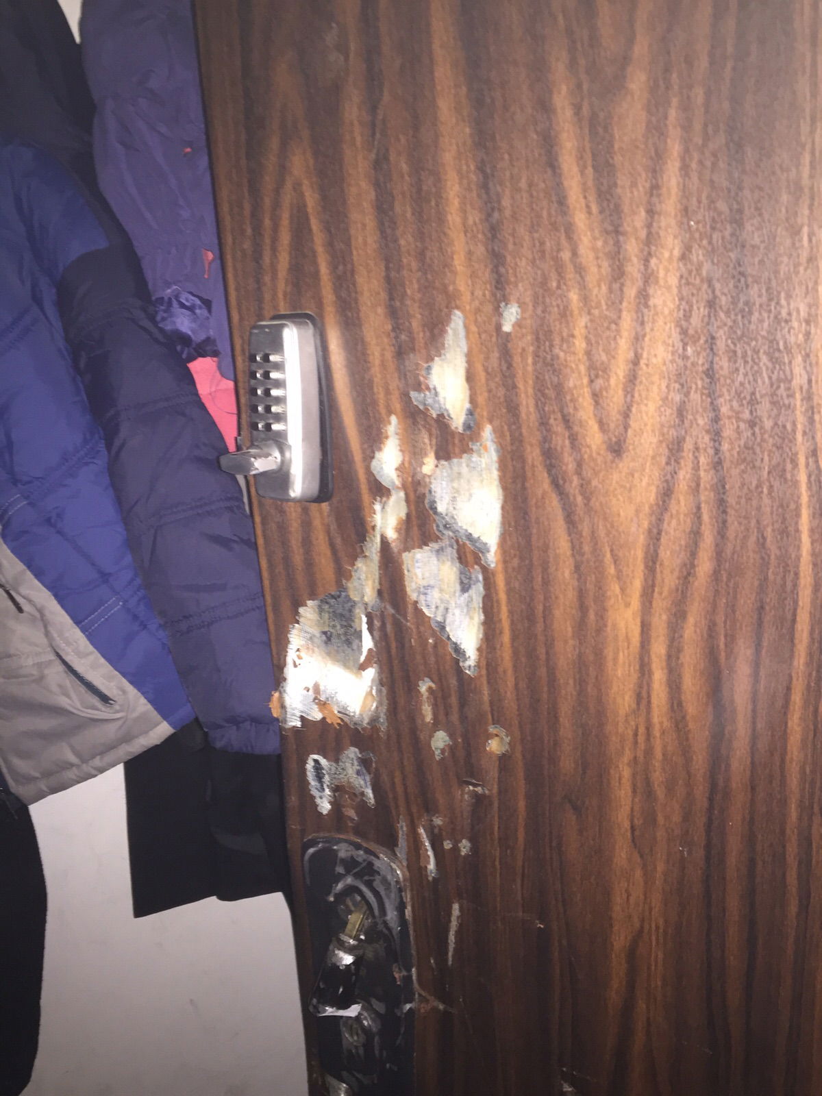 שני חשודים בפעילות נגד גיוס חרדים לצה"ל נעצרו • תיעוד