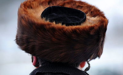 אילוסטרציה