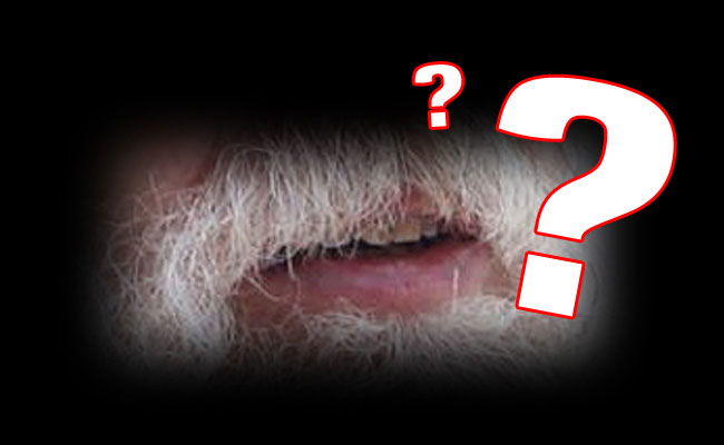 בדקו את עצמכם: מזהים את הח"כים שמאחורי השפם?