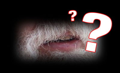 בדקו את עצמכם: מזהים את הח"כים שמאחורי השפם?