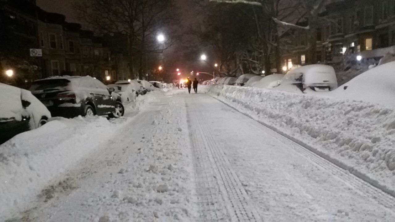 תמונות מהכפור: ה-770 כוסה בשלג לבן