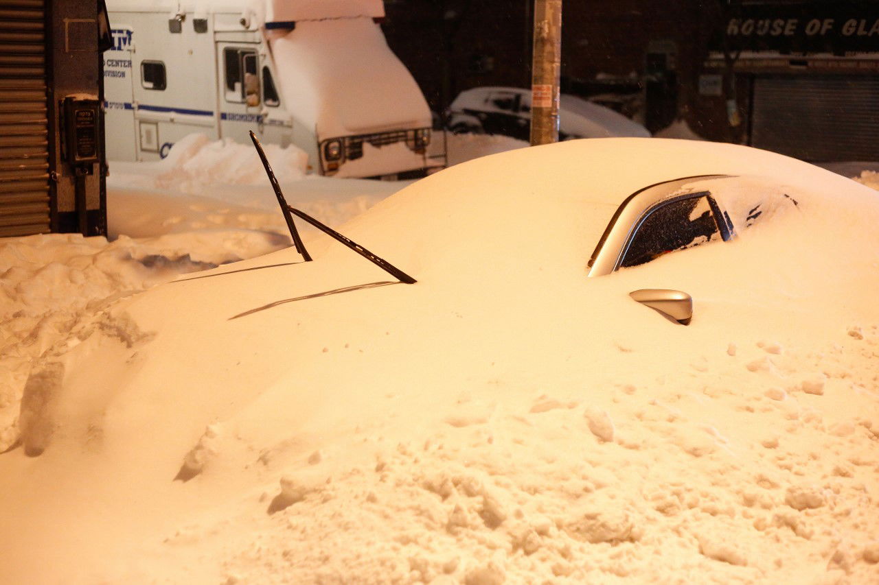 קראון הייטס מושלגת • גלריה לבנה