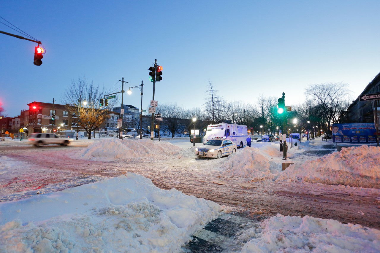 קראון הייטס מושלגת • גלריה לבנה