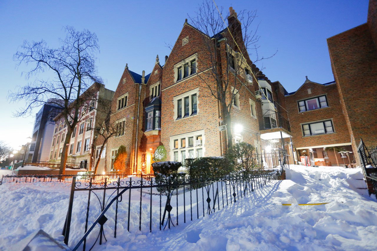 קראון הייטס מושלגת • גלריה לבנה