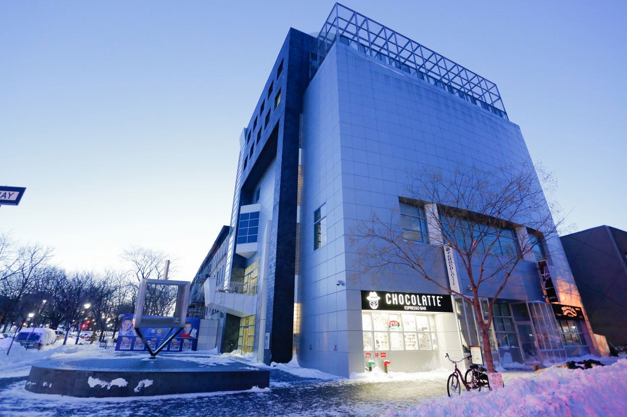 קראון הייטס מושלגת • גלריה לבנה