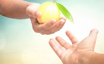 איך נזכה לראות פירות מבורכים?