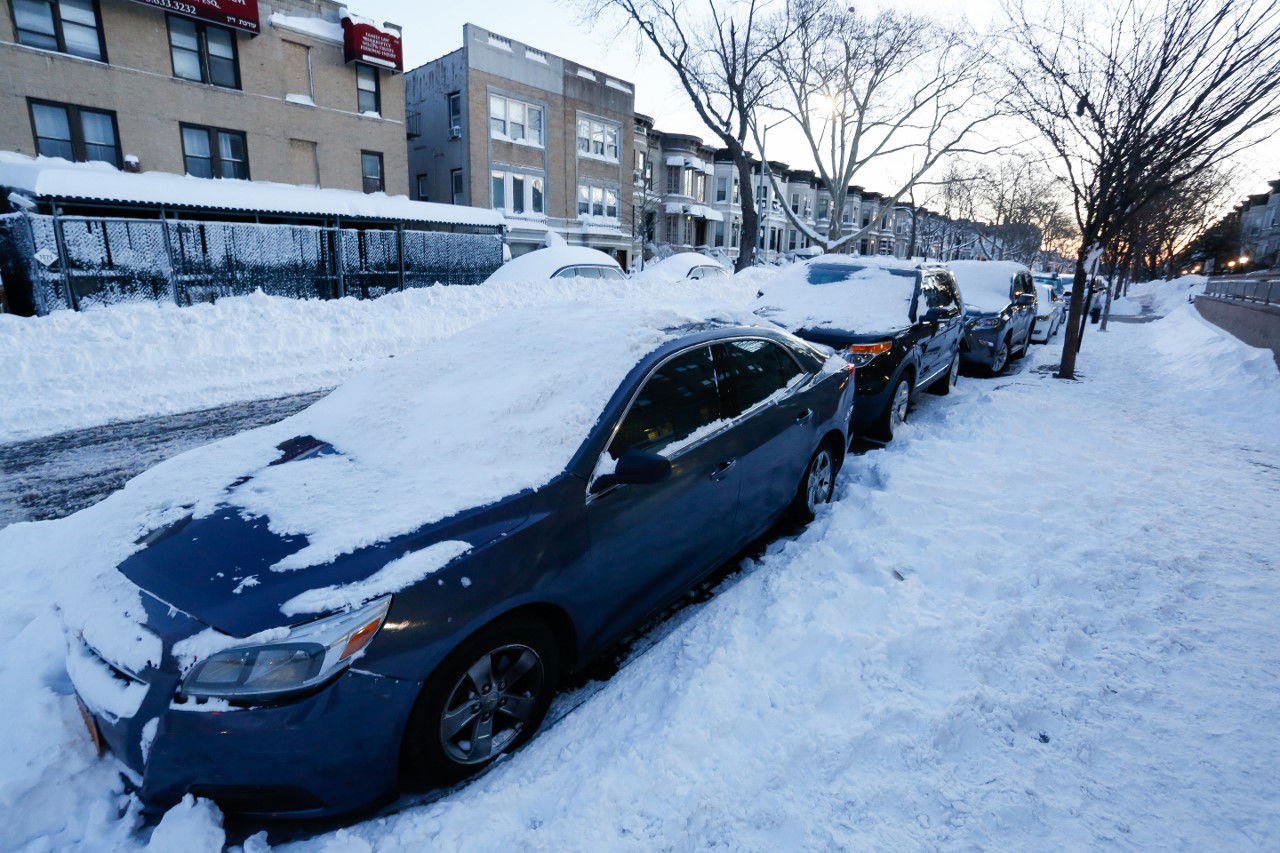 קראון הייטס מושלגת • גלריה לבנה