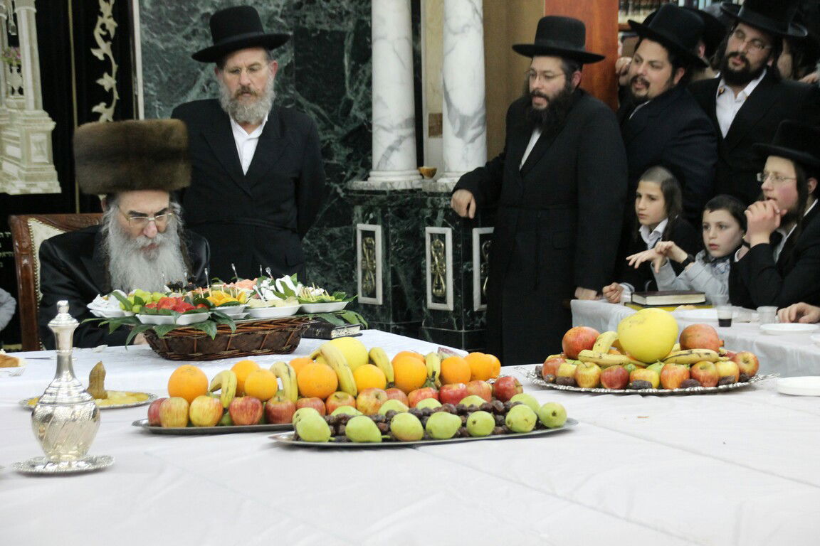 טיש ט"ו בשבט בחצרות האדמו"רים • גלריה