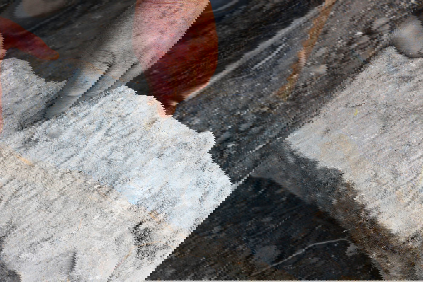 תנאים או אמוראים? נחשפו כתובות על קברים מלפני 1,700 שנה