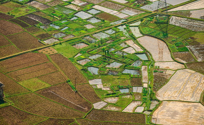 אילוסטרציה