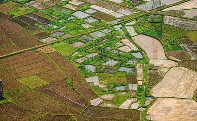 אילוסטרציה