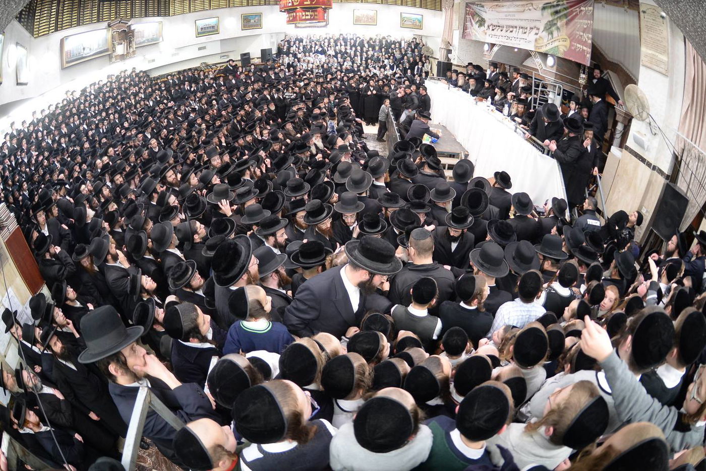 מעמד קבלת הפנים והוואך נאכט • גלריה