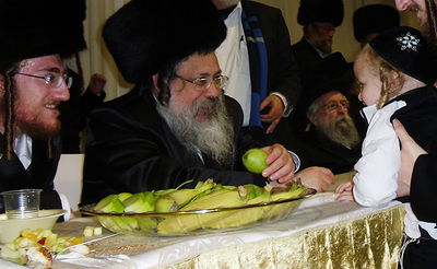 צפו בגלריה: הרבי מטאלנא חיתן את נכדו