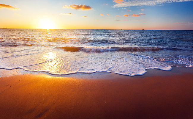 אילוסטרציה