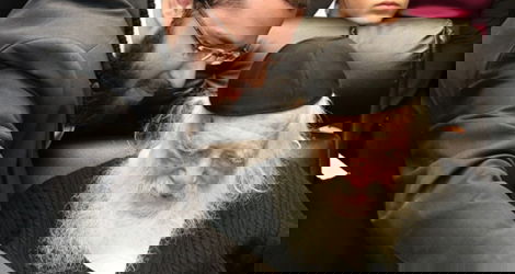 יענקי קנייבסקי עם מרן שר התורה