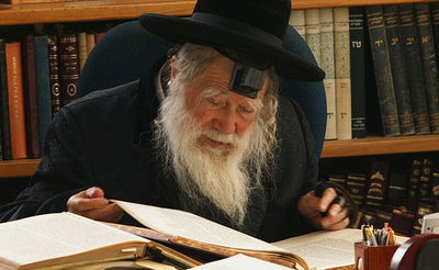 כ"W האדמו"ר מערלוי זצוק"ל