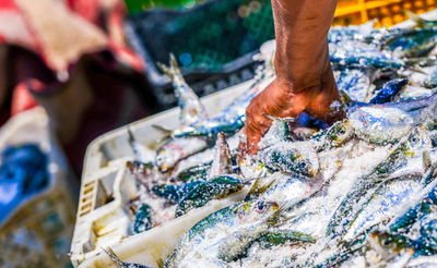 אילוסטרציה