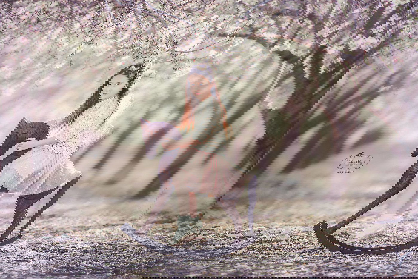 6 מתכונים לסלטים לשבת של אושרית אברג'יל