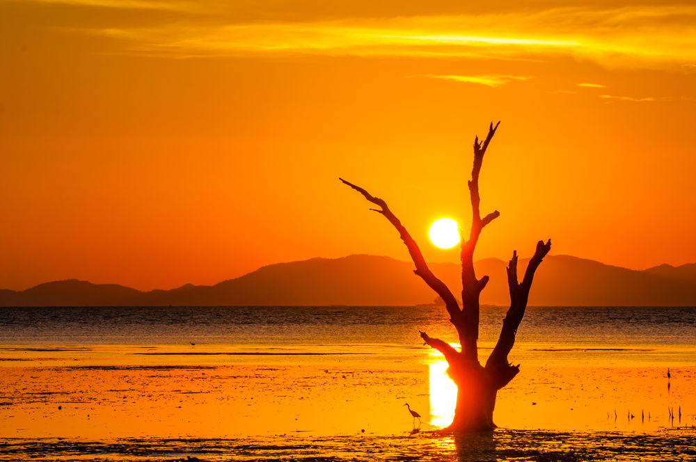התחזית: ממחר גל חום לקראת שרב