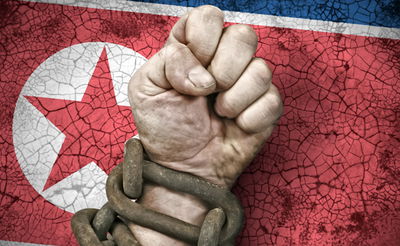 דגל צפון קוריאה