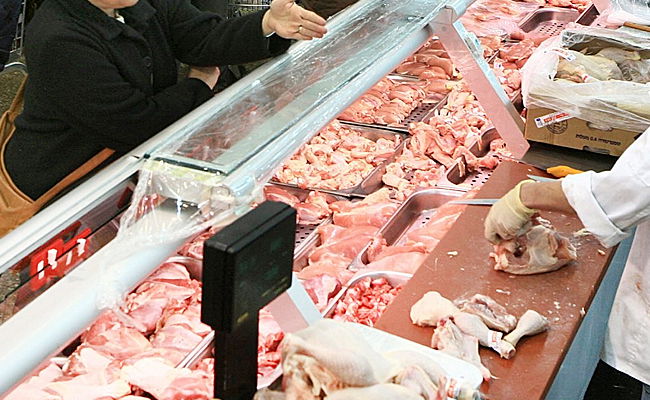 עופות, ארכיון