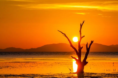 התחזית: היום שרב, בלילה ומחר כבר ירד גשם
