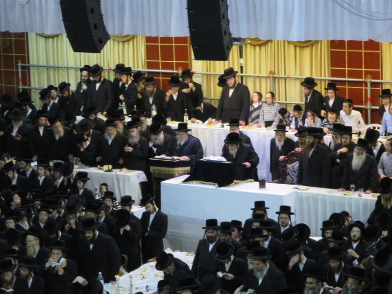 היכל הטישים של ויז'ניץ, השבוע