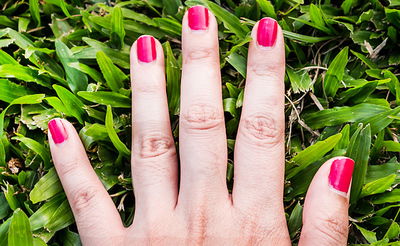 אילוסטרציה