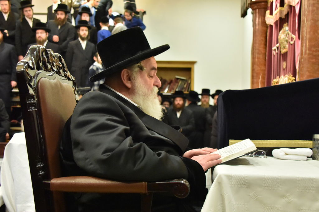 גלריה מסכמת: האדמו"ר מויז'ניץ כבש את אנטוורפן